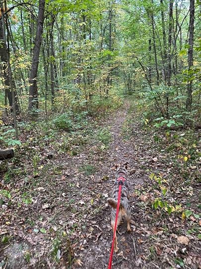 into the woods at Douglas Woods Nature Preserve