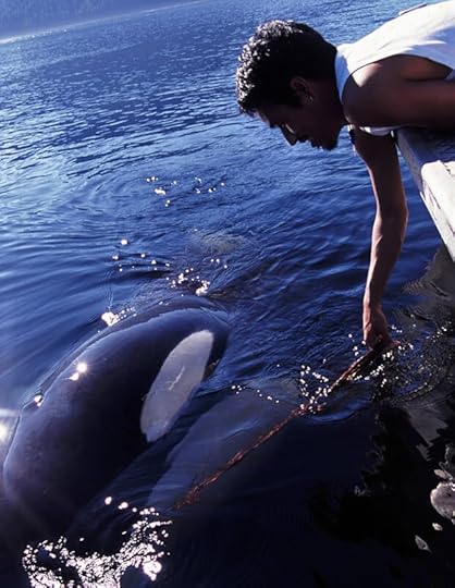 81ppcm-OTr4-L-AC-UF894-1000-QL80