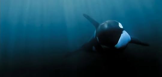 Luna-Orca-Culture-underwater-631
