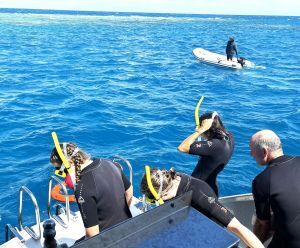 Great BArrier Reef with teens diving into the water