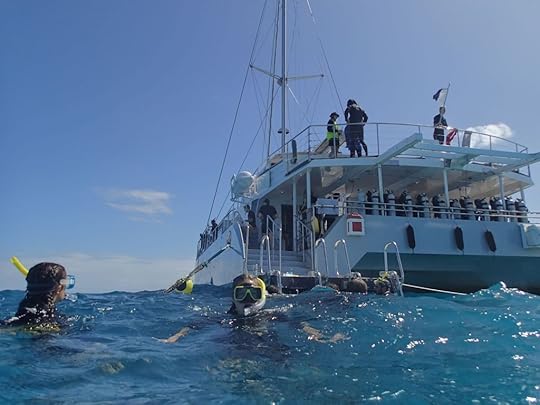 Teens looking at boat on the great barrier reef