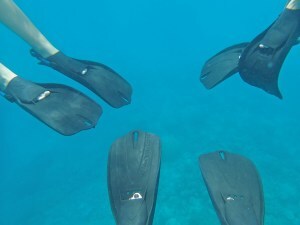 3 sets of flippers underwater
