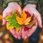 self-care practices for fall