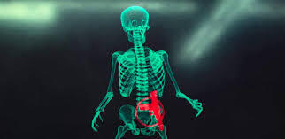 Skeletal image of a man with a red gun highlighted on his body.