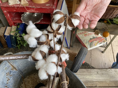 cotton ball stalks at Deja Vu Antique Mall in Orcutt, California