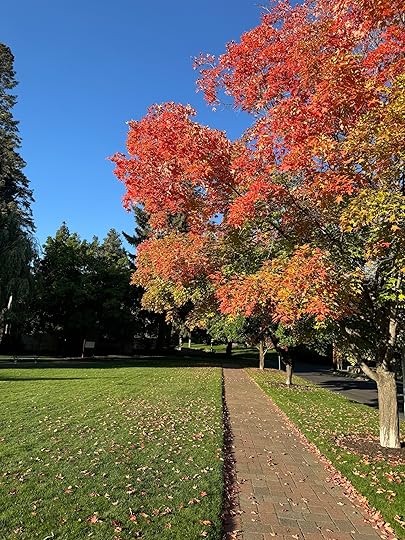 Maplesredbendparksept24