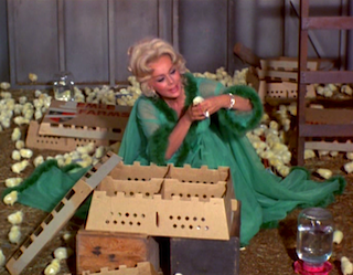 culture, culture shock, Green Acres