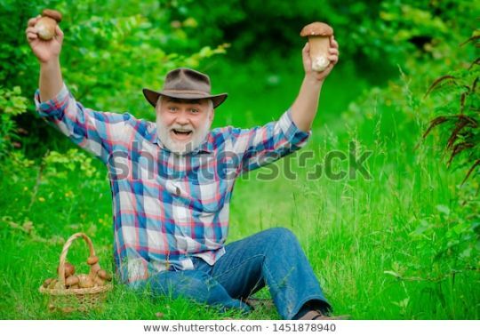 Old bearded man, holding aloft two mushrooms and smiling. 