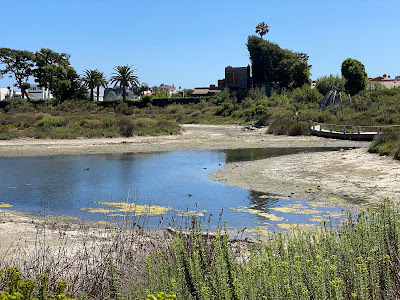 view from trail at Malibu Lagoon State Beach in Malibu, California