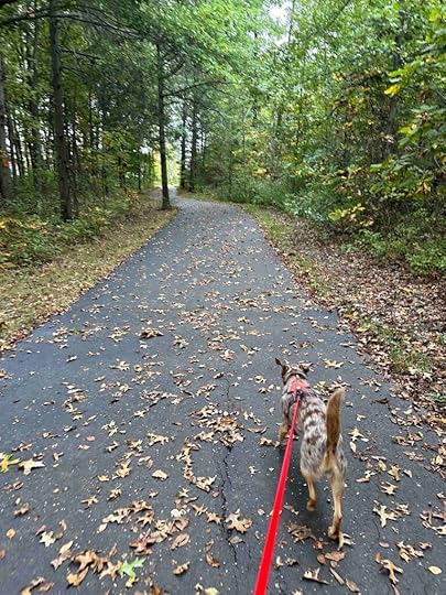 On the Payton Park Loop trail