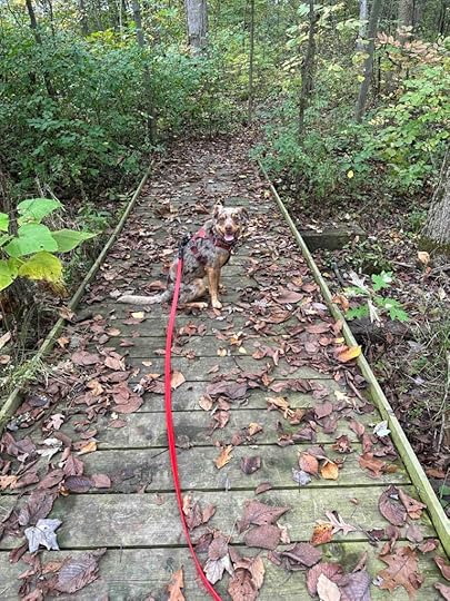 over the bridge at Payton County Park