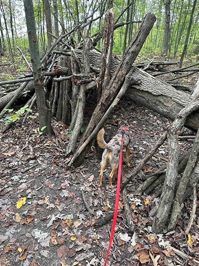 cool fort in the woods at Payton County Park