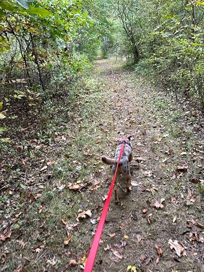 on the trail at Payton County Park