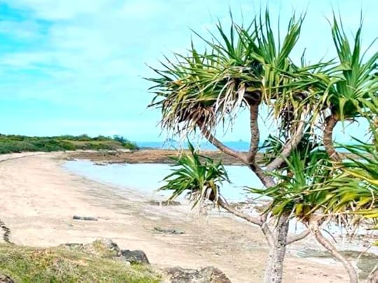 The Bowen Basin Barrier: A Journey of Discovery