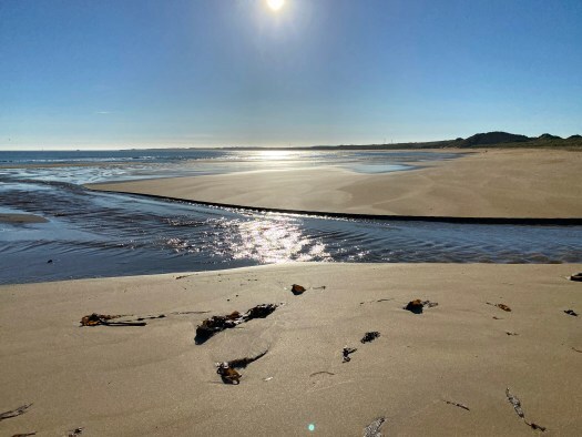 beach - autumns days