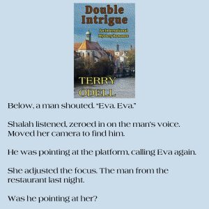 Text from Double Intrigue by Terry Odell 