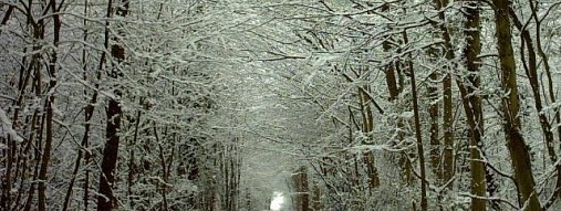 Discovery on an Icy Bridge