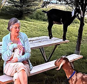 Woman guarding marshmallows from a goat