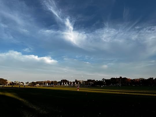 Light and shadow on the Halifax Commons