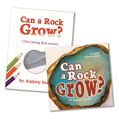 Can a Rock Grow?