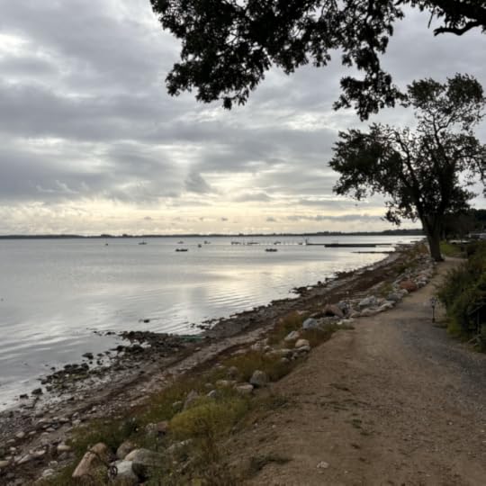 Der Strand von Steinberghaff im Morgenlicht
