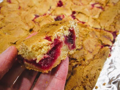 Bready or Not Original: Cranberry Swirled Blondies