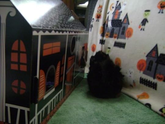 Rachel E Smith guinea pigs Snuffy and Wisting