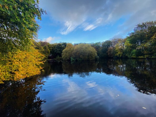 Autumn, I love you