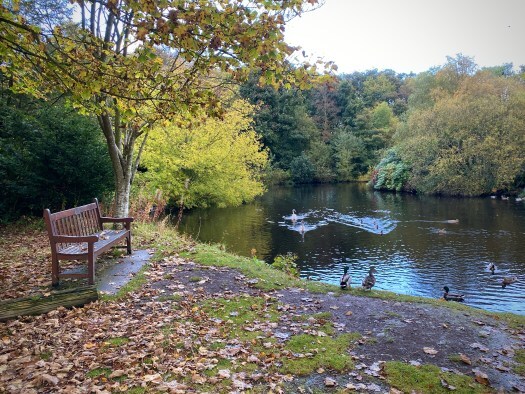 bench by the lake
