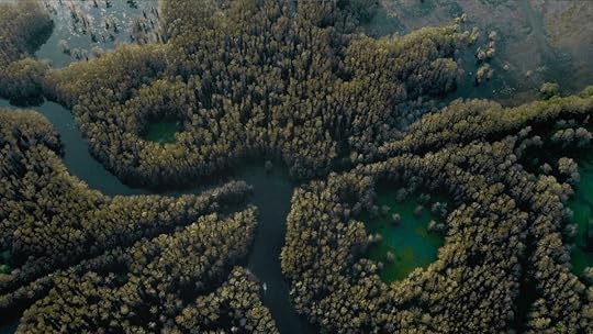 Caddo Lake