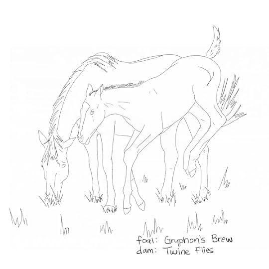 A line drawing coloring page of a young Thoroughbred colt frolicking next to his mother who grazes