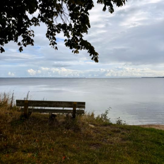 Eine leere Bank am Strand von Steinberghaff