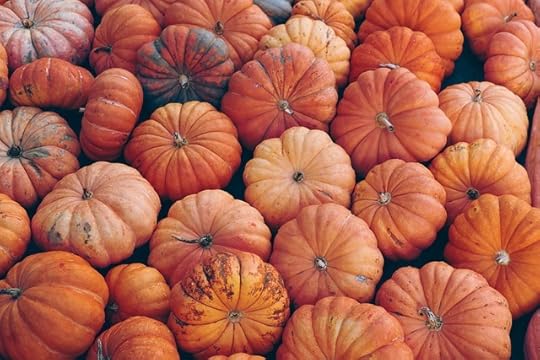 closeup of a pile of small pumpkins