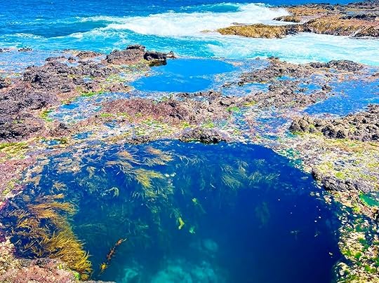 Indulge in Tranquility at Bellarine Peninsula's Spa Retreats