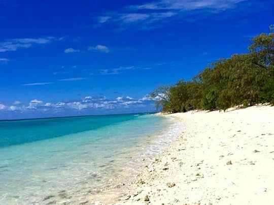 Investigating Lady Musgrave Island's Influence