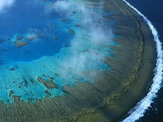 Lady Musgrave Island: Assessing Its Impact