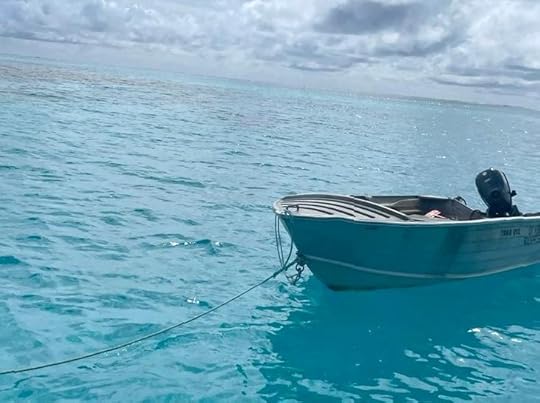 The Role of Lady Musgrave Island in Environmental Influence