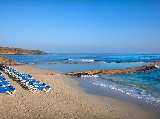 Discovering the Terrain of Turtle Bay