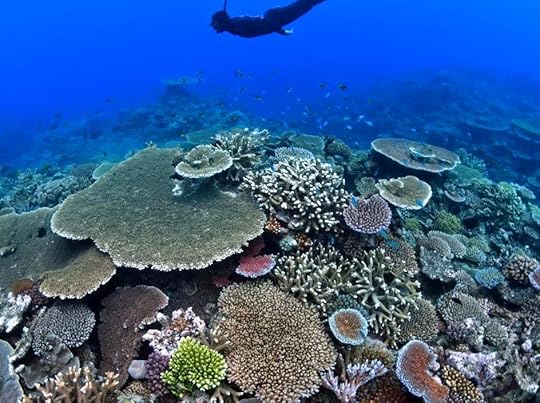 Unraveling the Edge of Bramble Reef