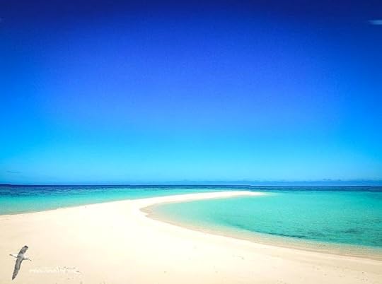 Sudbury Reef: A Journey Through Its Surrounding Space