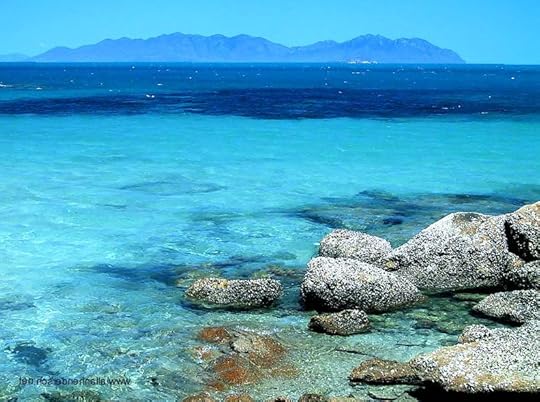 Journey Through the Grounds of Gloucester Island