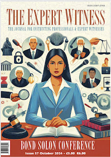 Expert Witness Water Engineering