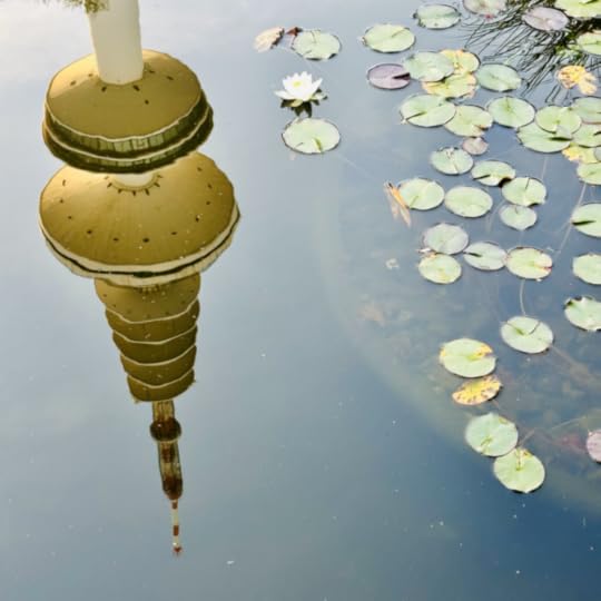 Der Hamburger Fernsehturm spiegelt sich in einem Teich in Planten un Blomen