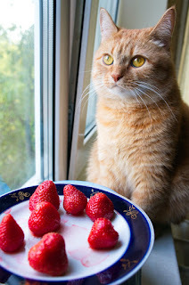 My dessert? That's a joke, right?