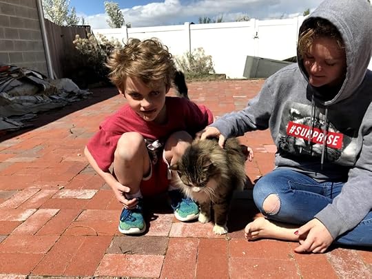 On my son's 12th birthday, we held a pet funeral. Where Do You Draw The Line?