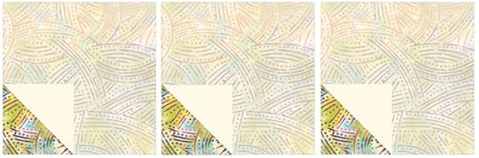 October 2024 NZP Block of the Month