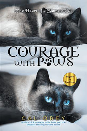 Cover L