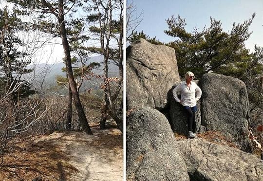 From the top station you can walk to nearby scenic spots including rocky outcrops and forest paths.