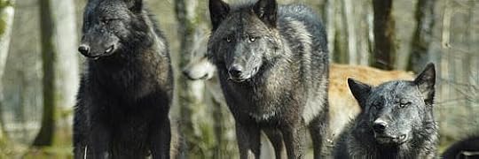 Recensione di L’ultimo lupo mannaro di Glen Duncan