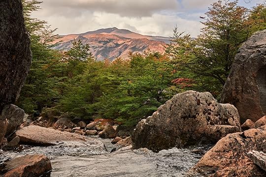 This stream flows from the Cascada del Salto near El Chaltén, Argentina, in Los Glaciares National Park. It offers stunning natural scenery amidst Patagonian wilderness.